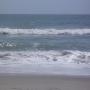 Amanda Thacker Photo 11