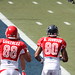 Robert Revis Photo 19