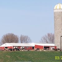 Janice Lindstrom Photo 7