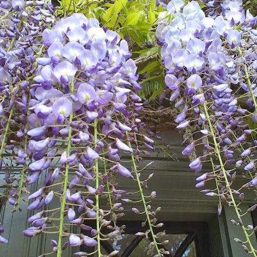 Julie Arthur Photo 35