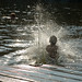 Roy Knowles Photo 31
