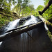 Robert Musser Photo 29