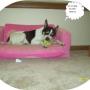 Rhonda Howell Photo 13