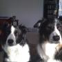 Janet Leeper Photo 7