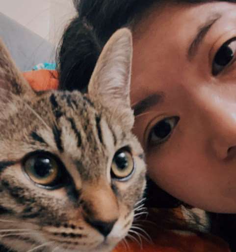 Amy Lin Photo 45