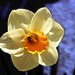 Narciso Luis Photo 10