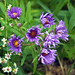 Anne Robbins Photo 21