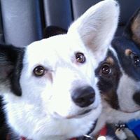 Cheryl Kreiser Photo 8