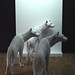 Irene Andersen Photo 20