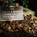 Robert Reardon Photo 44