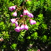 Heather King Photo 36
