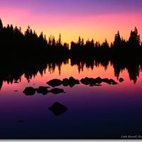 Lisa Laplant Photo 5