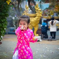 Viet Dinh Photo 24