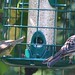 Debra Bunting Photo 2