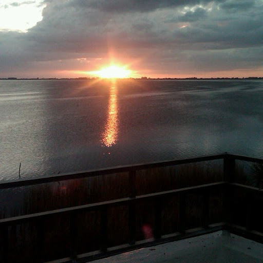 Ann Robbins Photo 12