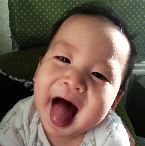 Michelle Cheng Photo 17