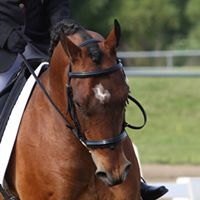 Andrea Hanlon Photo 8