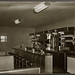 John Ardis Photo 8