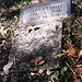 Joseph Bennett Photo 32