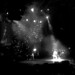 William Hui Photo 38