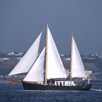 Roy Howell Photo 22