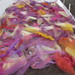 Robin Carlson Photo 34
