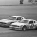 Ted Shepard Photo 26