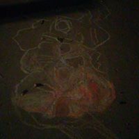 Sarah Gilbert Photo 16