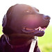 Aaron Schwarz Photo 34
