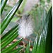 Peter Downs Photo 36