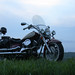 Dave Willett Photo 9