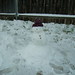 Sarah Brinkman Photo 21