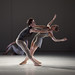 Eric Feig Photo 15