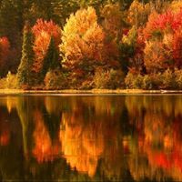 Rafat Mohammad Photo 4