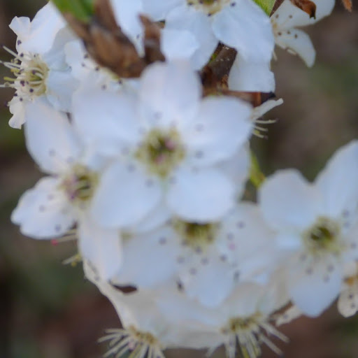 Julie Sutton Photo 26