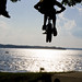 James Pieper Photo 38