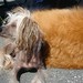 Debbie Bayne Photo 22