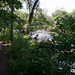 Janet Nichols Photo 15