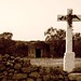 Julio Cruz Photo 8
