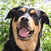 Wilma Summers Photo 14