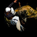 Stephen Rodman Photo 19