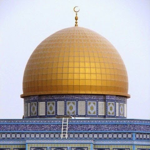 Mohamad Alamdar Photo 6