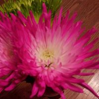 Margaret Meeks Photo 3