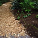 Sue Dickson Photo 14