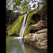 Janet Large Photo 18