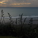 Doreen Simons Photo 9