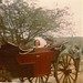 Jane Stout Photo 29