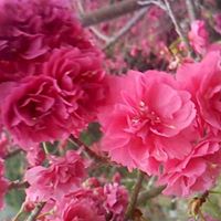 Sun Cheng Photo 29