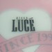 Paul Luce Photo 19