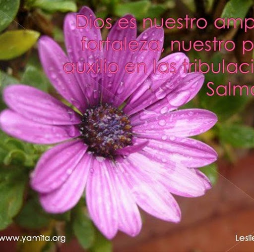 Ruth Garcia Photo 20